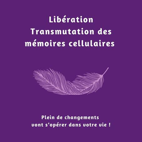 libération transmutation mémoires cellulaires